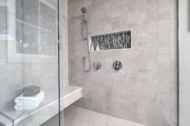 Stylish Shower with Built-in Niche